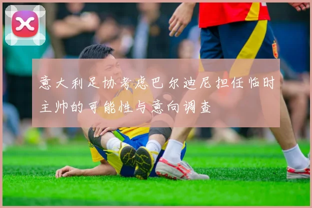 意大利足协考虑巴尔迪尼担任临时主帅的可能性与意向调查