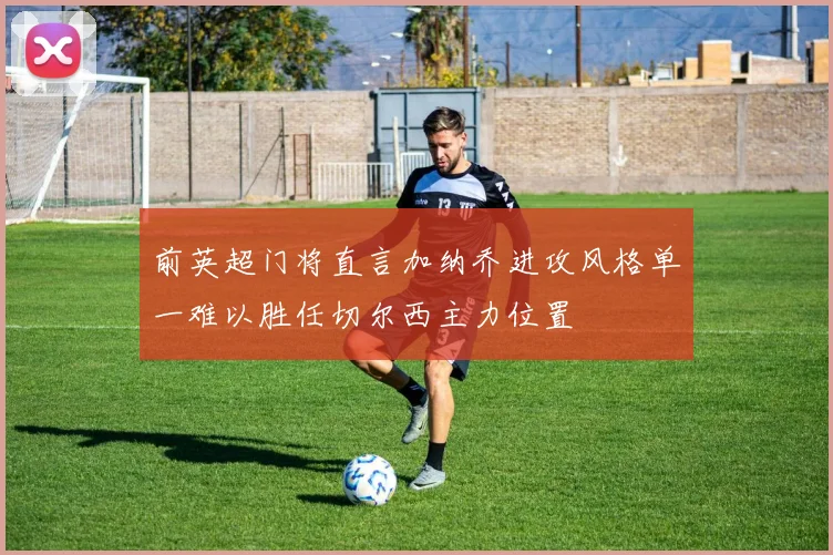 前英超门将直言加纳乔进攻风格单一难以胜任切尔西主力位置